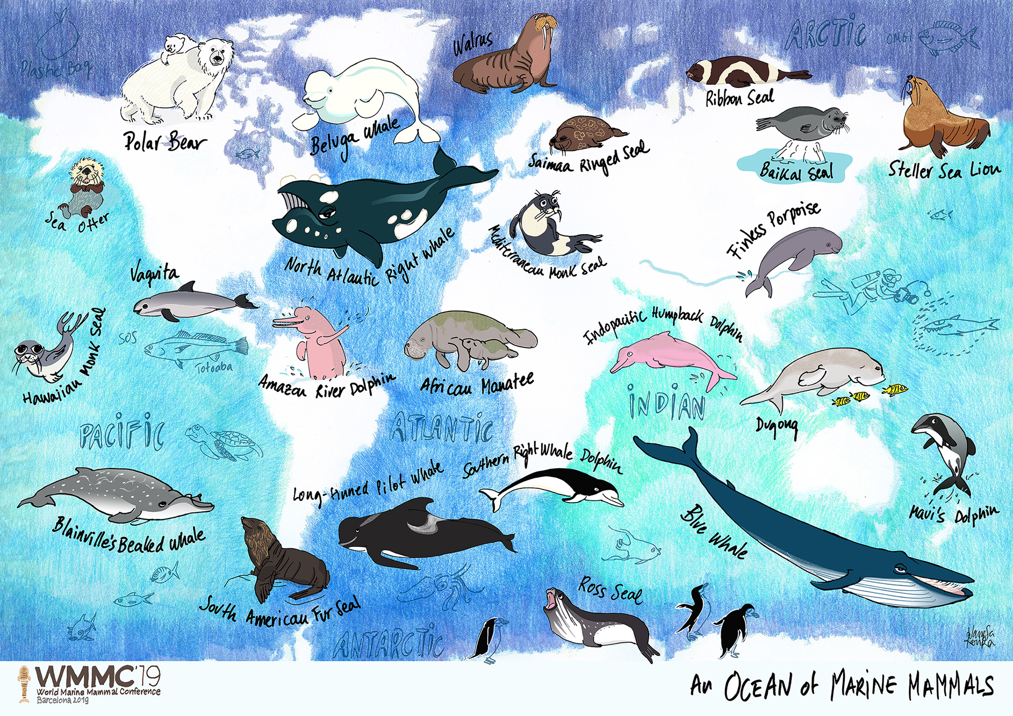 World Marine Mammal Conference 2019 – Vanesa Rovira